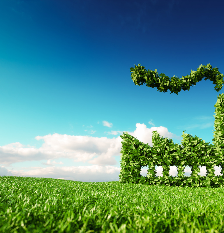 grüne Fabrik auf grünen Rasen mit blauem Himmel